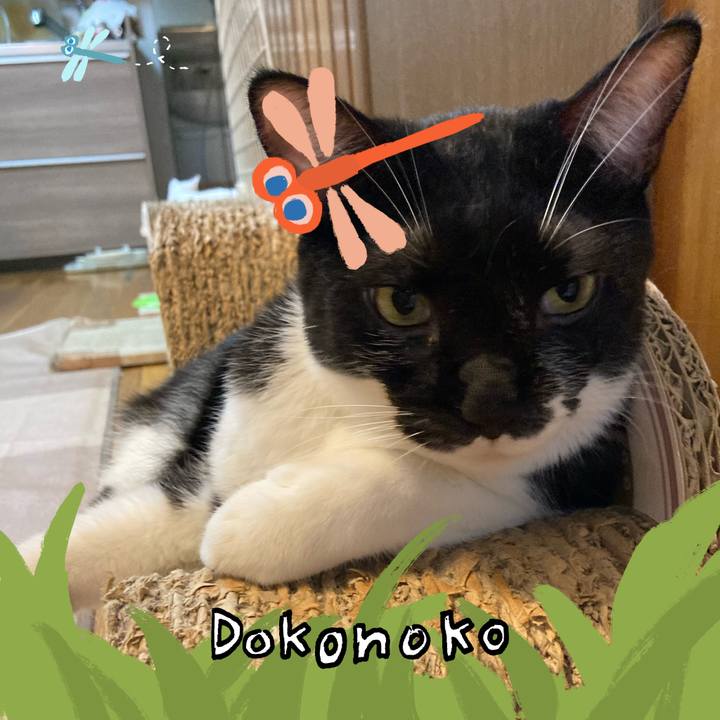 9d6e54ca 3e12 4f32 ae7f 9de431f7a1bb 1726871899801