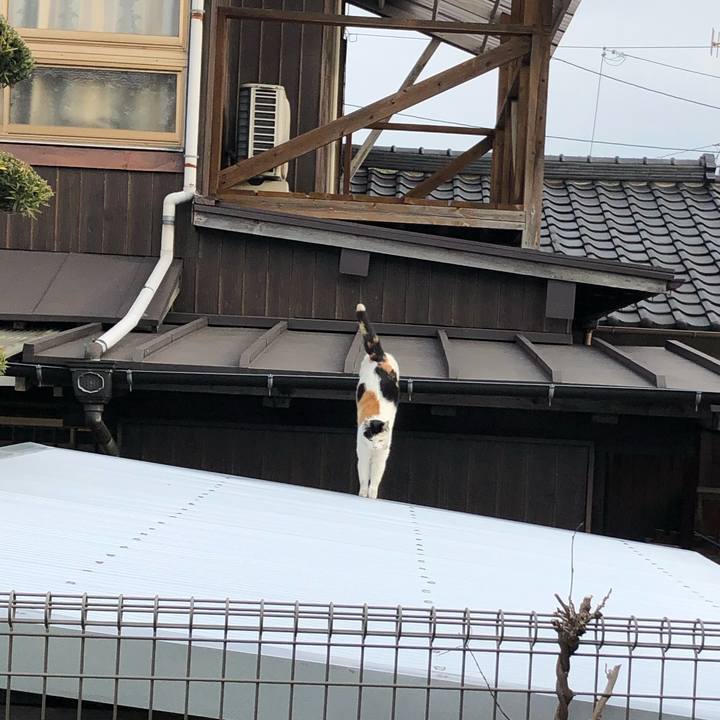 9d6eb225 bacf 4249 a847 602f35d0291c 1614427695471