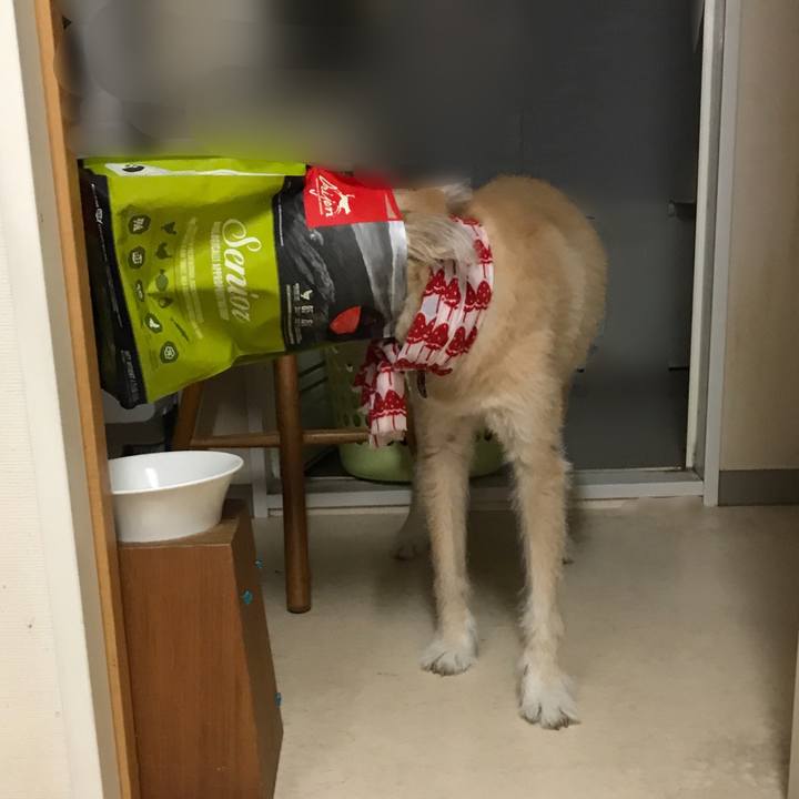 9d6eba07 afa9 4517 91ce 4688534d4df2 1598405064757