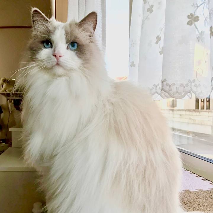 9d6ee2cf ada0 46e9 ab00 6ae439f6ca92 1615117599104