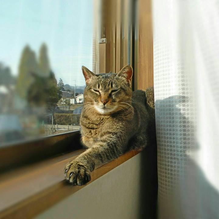 9d6ef19b f891 4e13 813d 5fd029130e79 1523061998712