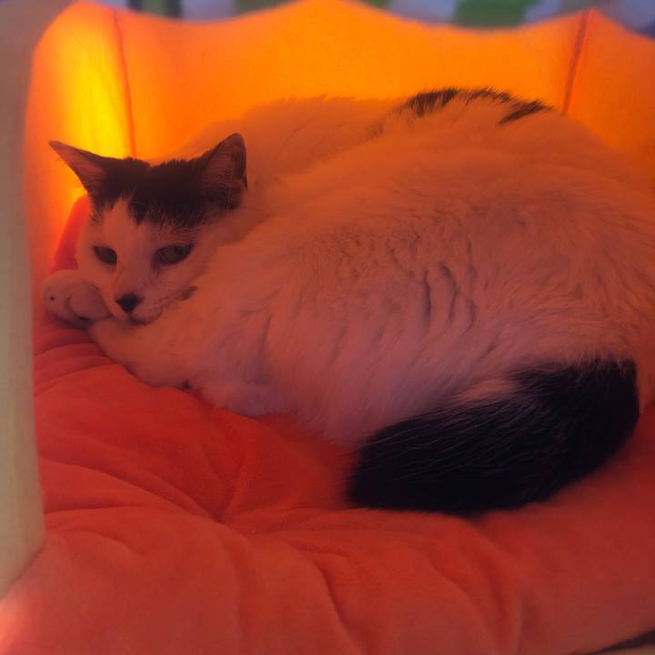 9d6f0d92 bf6d 42e9 8585 25644be8c326 1582349737460