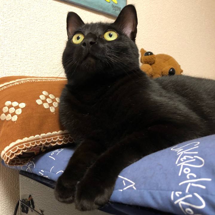 9d6f199b d3e3 436f 9d98 908b2e84f012 1529586752863