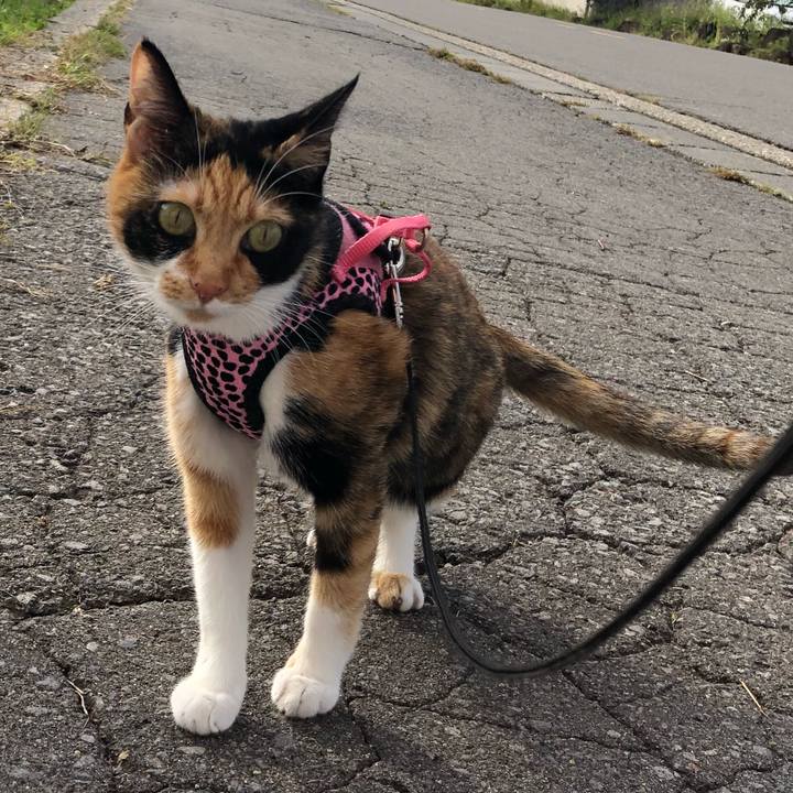 9d6f80eb 0dcd 4262 af28 a8c66825a298 1537751571411