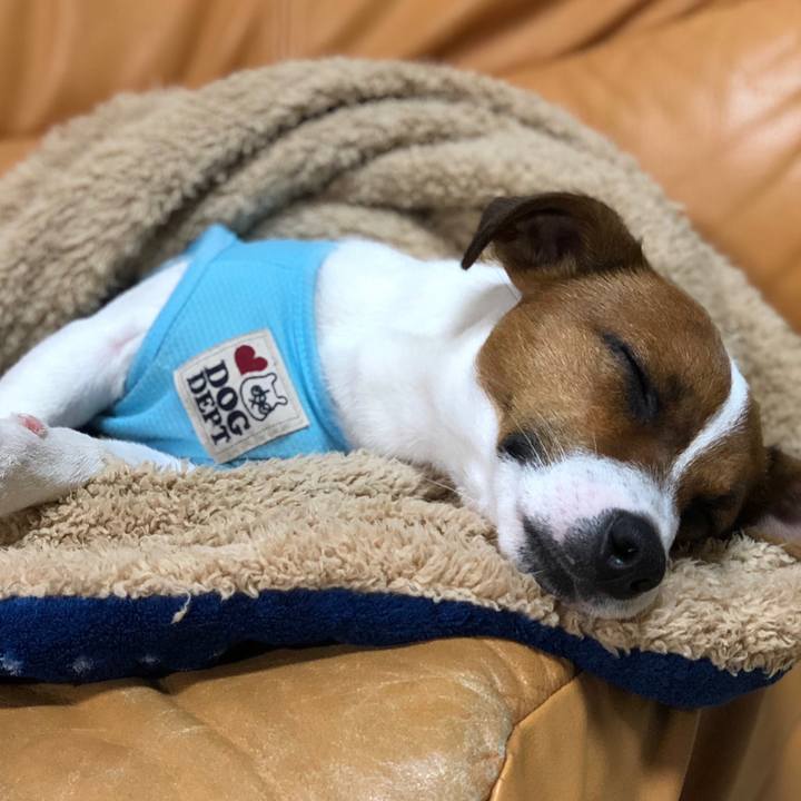 9d70035a adf6 4988 a49e 80cf7c8c0732 1529330350421