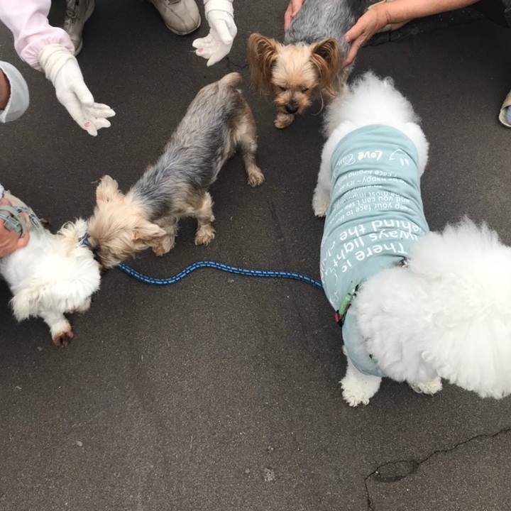 9d703929 5f47 42b6 917b 9ddff62999be 1594892371751