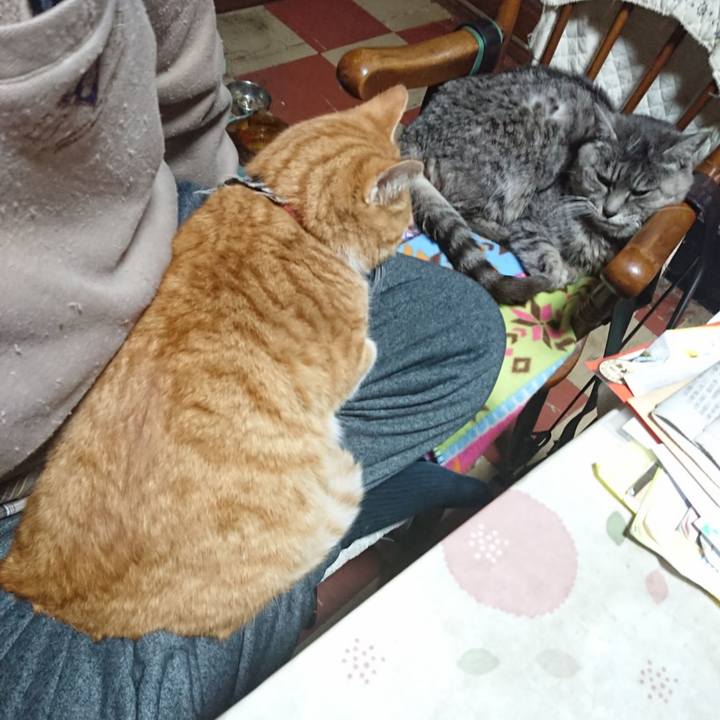 9d704180 6962 4087 8504 ef2b5a3b821f 1575101603851