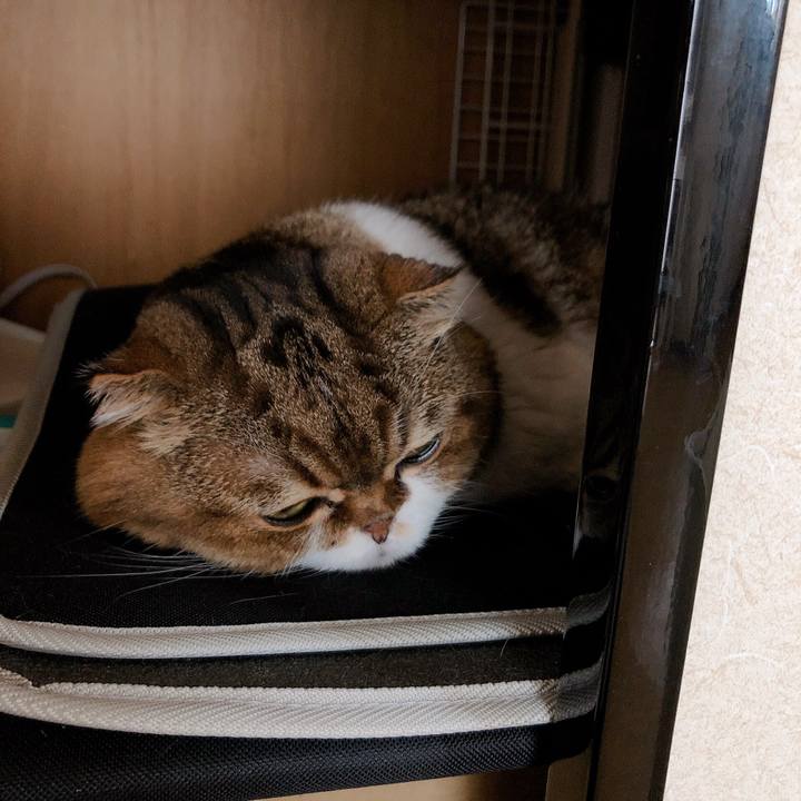 9d70488d 5486 4874 8fed 493097da2fe8 1568256423631