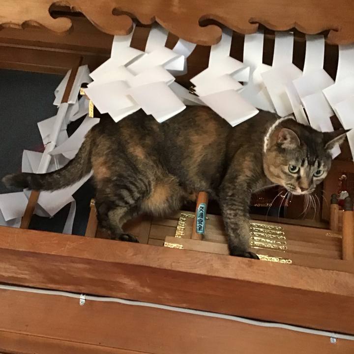 9d706bea 5111 47d8 bac4 557784d429fe 1737966111534