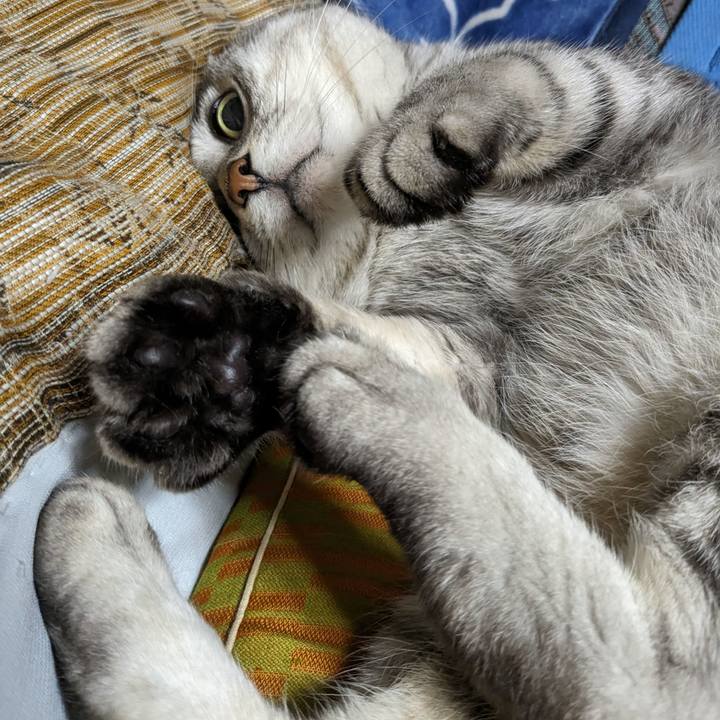 9d708035 fe65 4002 aa25 1642e6e9682a 1694266896399