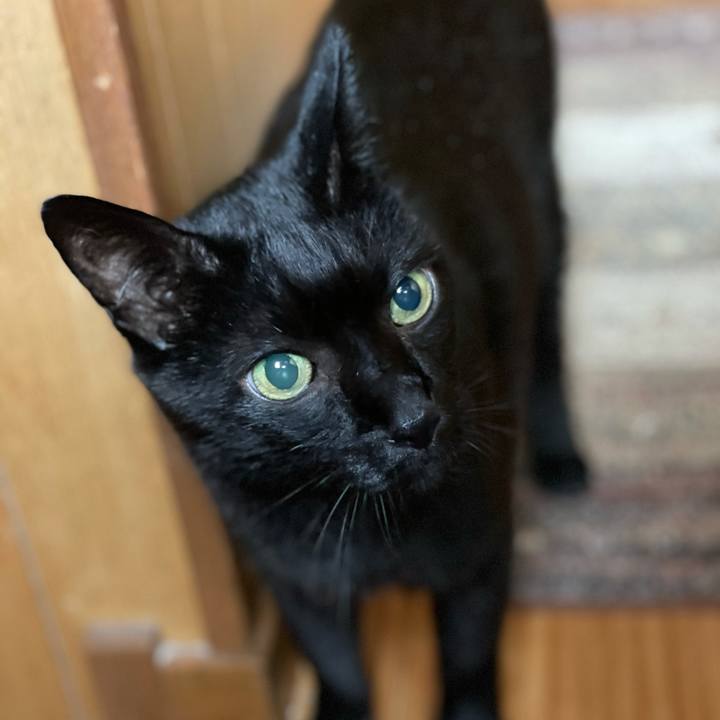 9d708520 4183 43d2 b3af a69d0218fc66 1629160420385