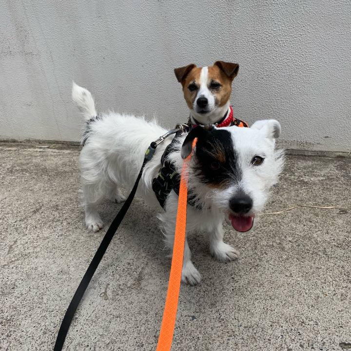 9d70cb42 00f2 4430 80d6 fa8f00eb6706 1557624158008