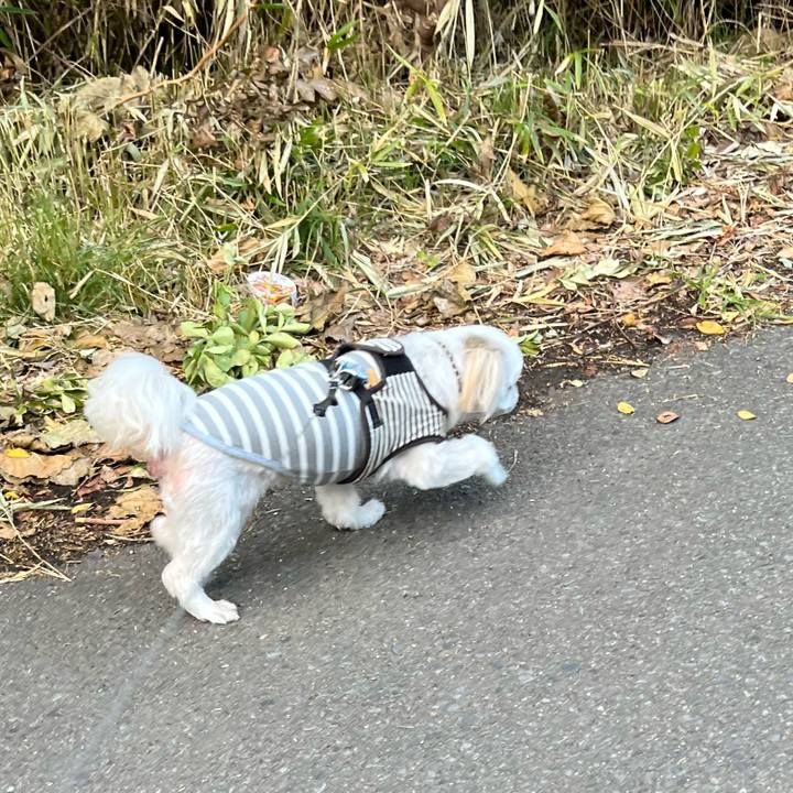 9d70ce79 5bc8 4838 9414 7e5601c94252 1698480572898