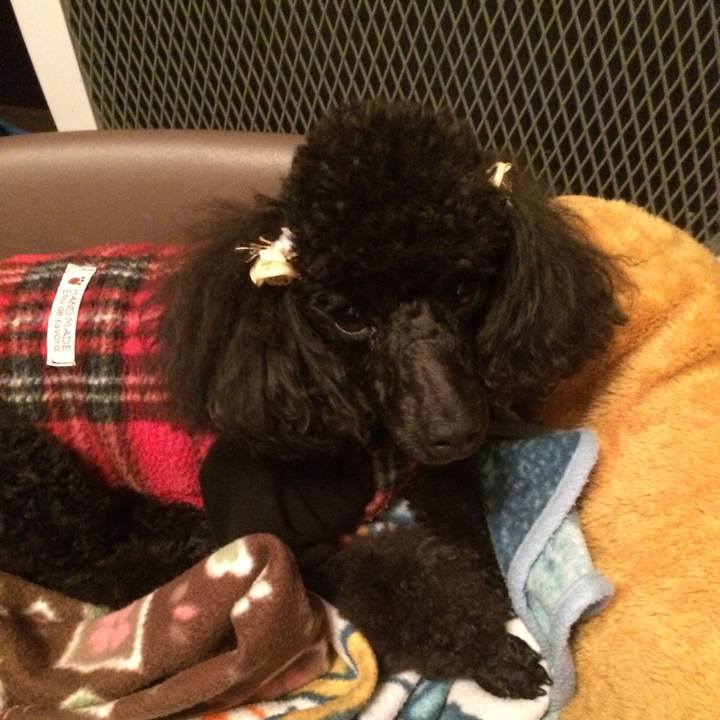 9d710fdc e3cc 4b3e 95a4 447b17bd668c 1575372555241