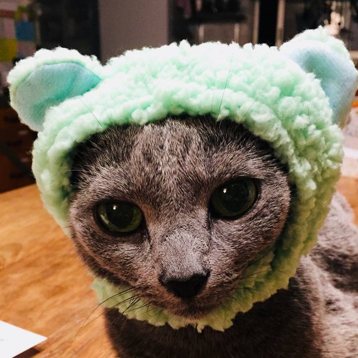 9d71281d 05a2 4df8 a93c 25786fdf7588 1530055028676