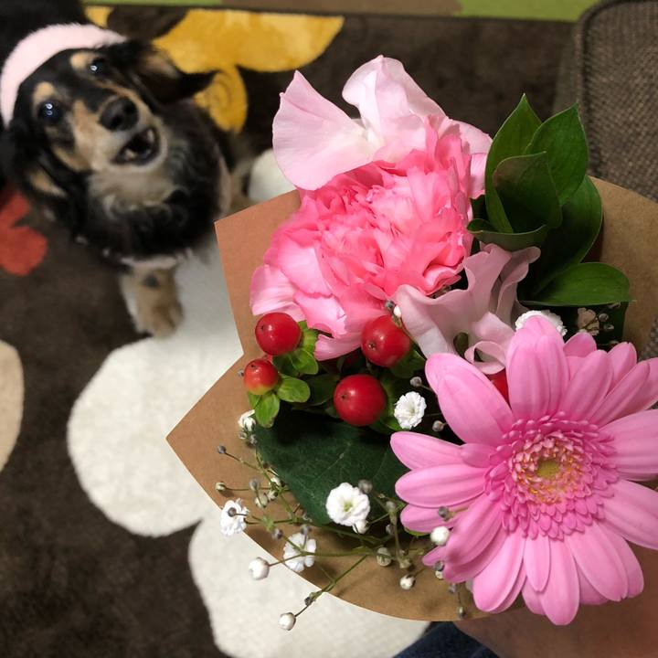 9d716465 bfb3 478a 8c36 070120bb9744 1581769479843