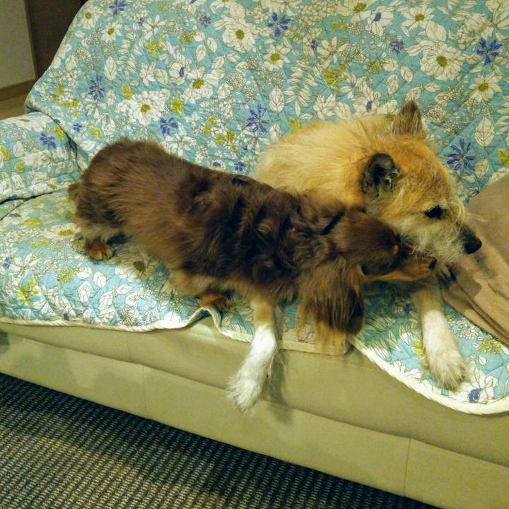 9d7165da cc6a 40c5 9d11 2b4622cf4d82 1543400880746