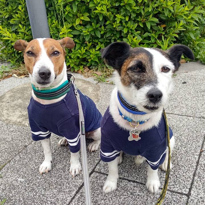 9d7187a0 3def 4bb5 8448 d73ca03383c4 1684976920478