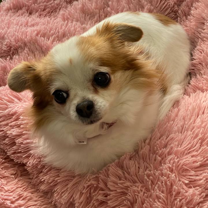 9d71a711 e59d 4d8a b34c ce7ba3a90357 1585925151555