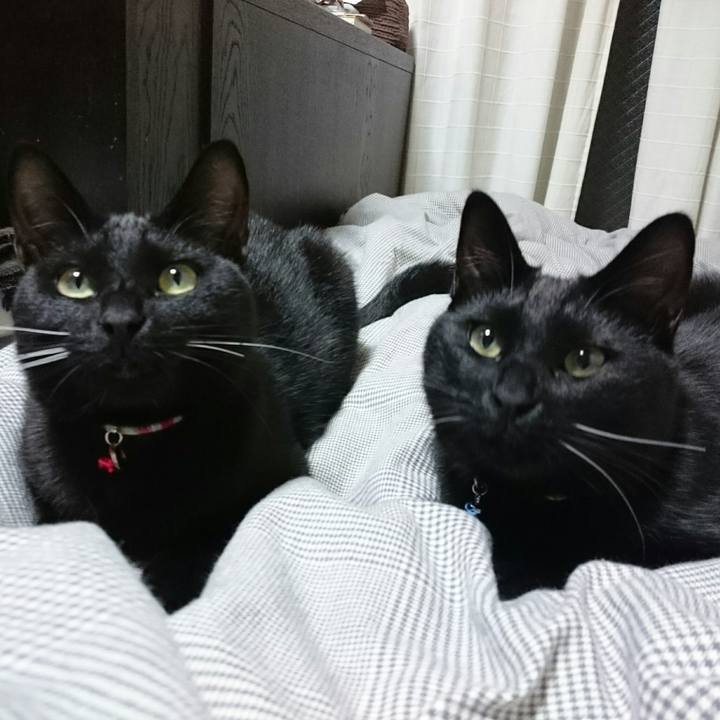 9d71f842 5902 4e2f 9105 1a9c33227286 1511617973521