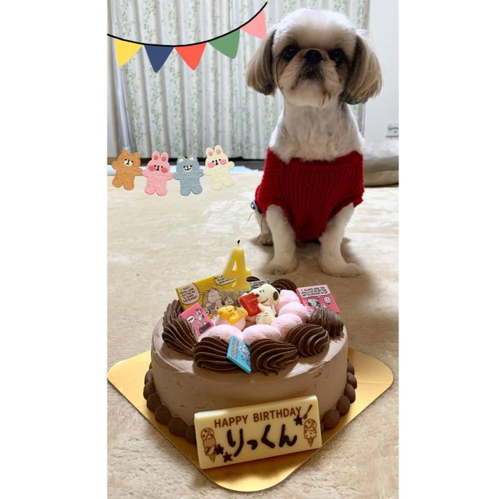 9d720026 ed21 46f6 8aa5 ffe891d133db 1650283027786