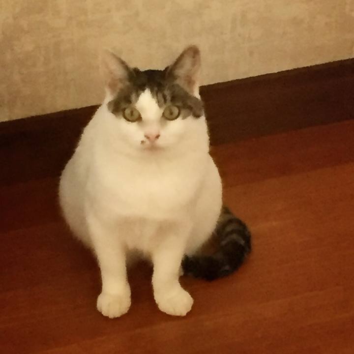 9d72049b dc3d 4096 8970 5f731743009f 1541679827338