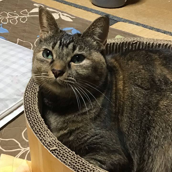 9d7285fa 3116 4c11 9083 e91d549660ac 1762941022969