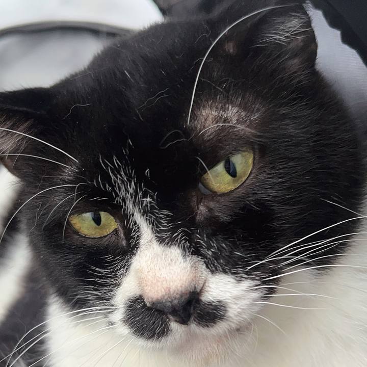 9d729e47 5ee2 45fa bab2 2131f14187d6 1689981759638