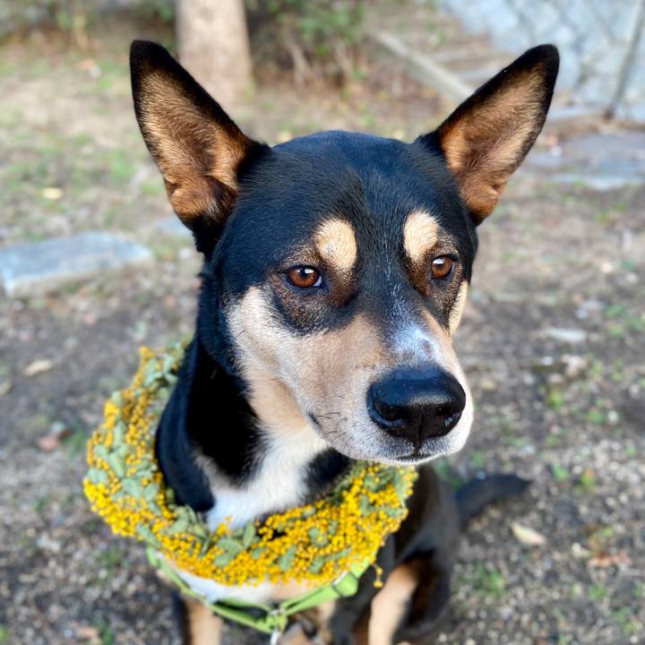 9d72ce8f fa18 46f4 82cc 85972342daec 1615210042553