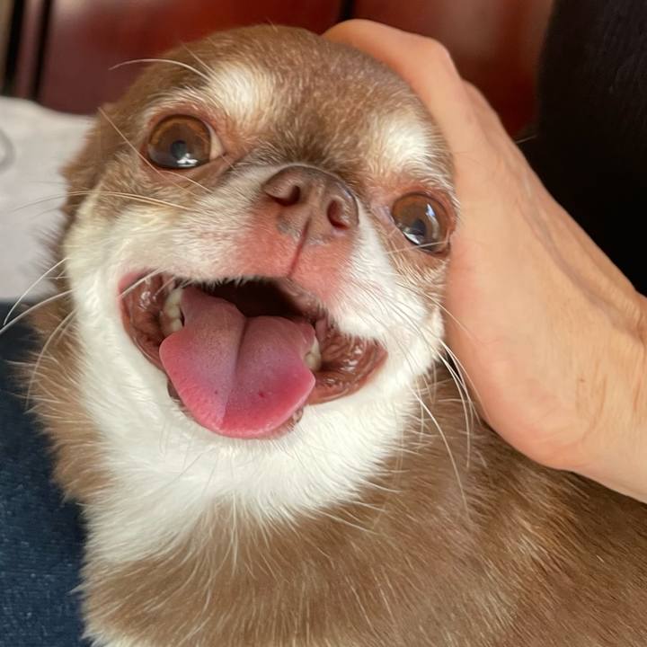 9d72d20b 459f 4c0e b5b0 6d2865add958 1758763271263