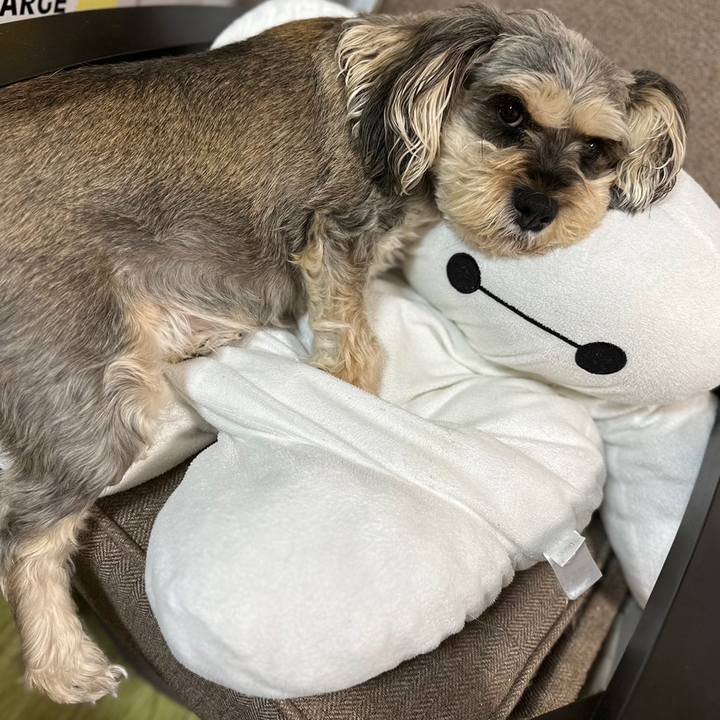 9d72d4b0 c941 4176 838b c46119344f7c 1695989276989