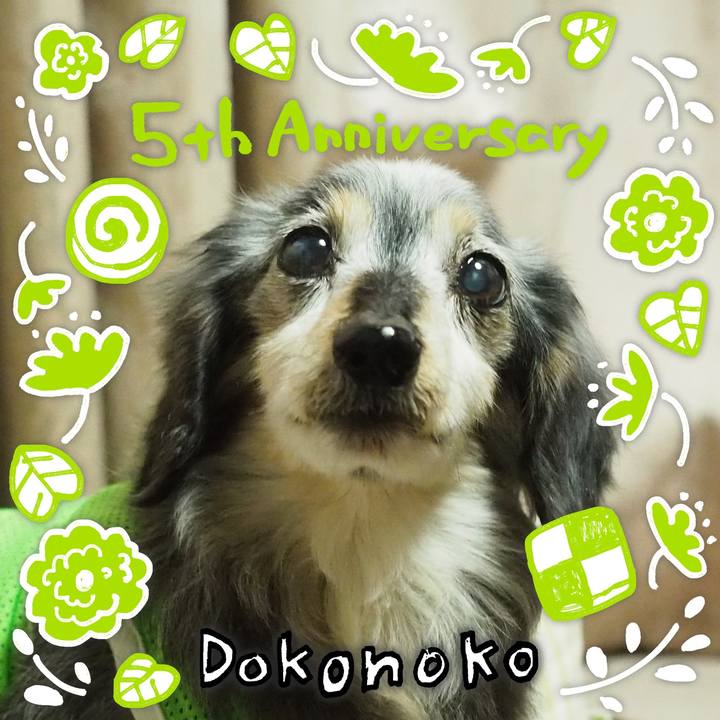 9d72d738 67af 4dd6 81ae 6ffb591a62f7 1622856294354