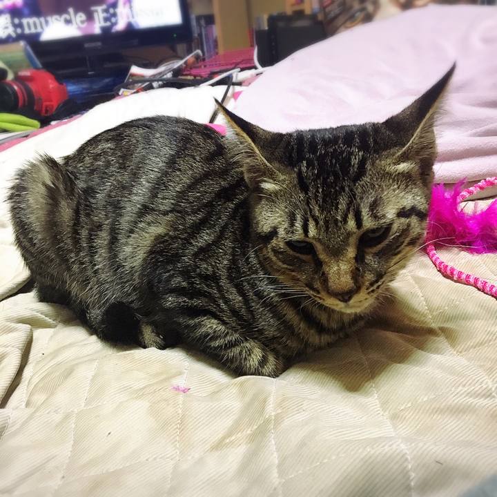 9d72e9a8 0563 4d05 9029 3bcff136f645 1541723412016