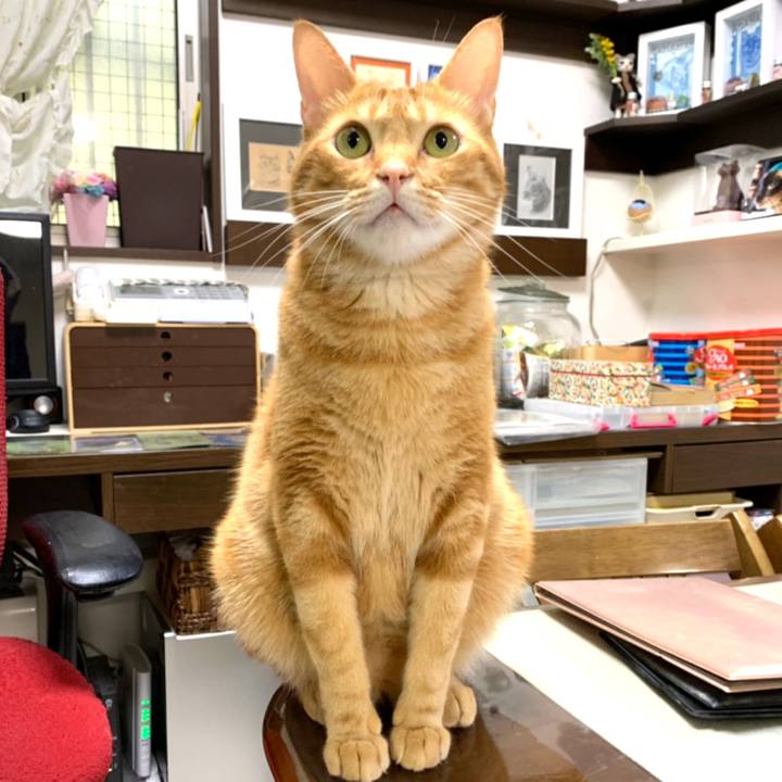 9d72ec00 b3a7 4925 8b2c c1f08f896478 1566426358716