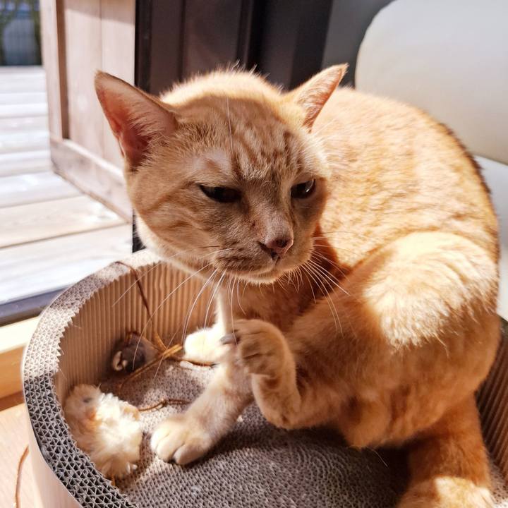 9d72f9a8 53dd 4f78 8c61 e382bf040631 1724470092181