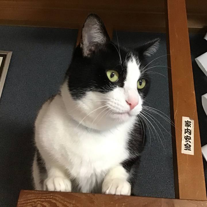 9d73158f f1e1 48c6 83ba 84ae85adabf0 1728205489172