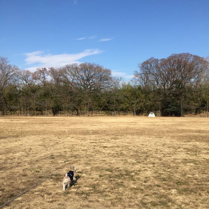 9d734df2 39b0 4ebc a47e 5628a8e93c7f 1549181230951