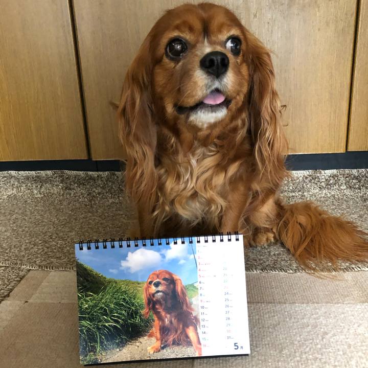 9d7375cd 5b93 40d4 a267 bbaa9ab5b19d 1619828891524