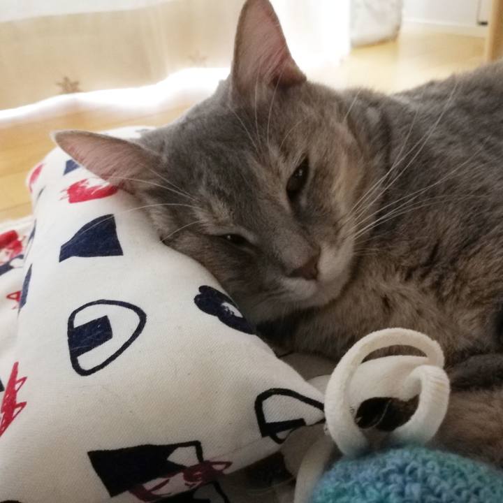 9d73a77a 3e6a 4899 8d92 1daa4639d4b0 1536069366481