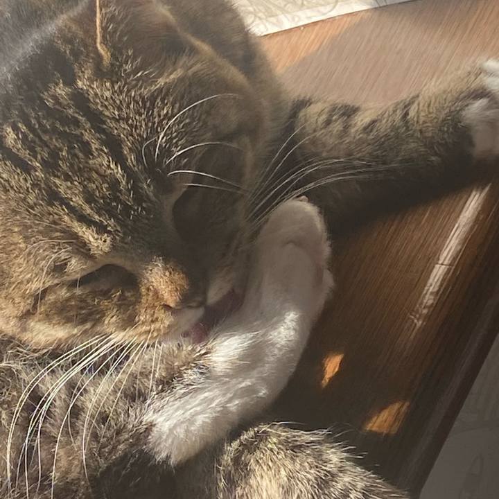 9d74110a 8964 452f ac81 0287cd0da42d 1649688968750