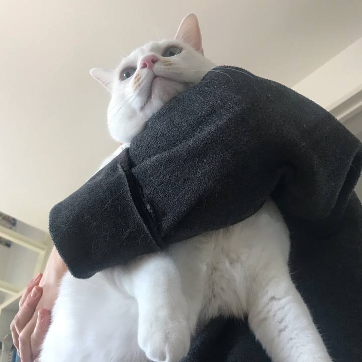 9d7418b3 2ae6 4509 a6bd 9dda5d0a5c12 1555495743466