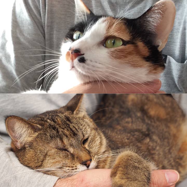 9d742add efa2 4581 966a 6ddb8ee8fd09 1546325509196