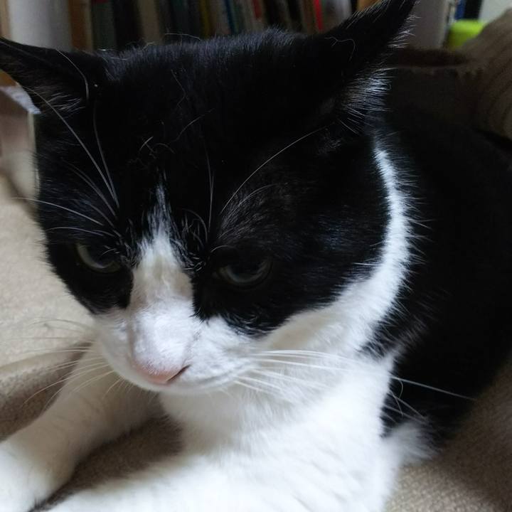 9d7436d8 2964 4878 8372 4616a71e5f73 1531037127299