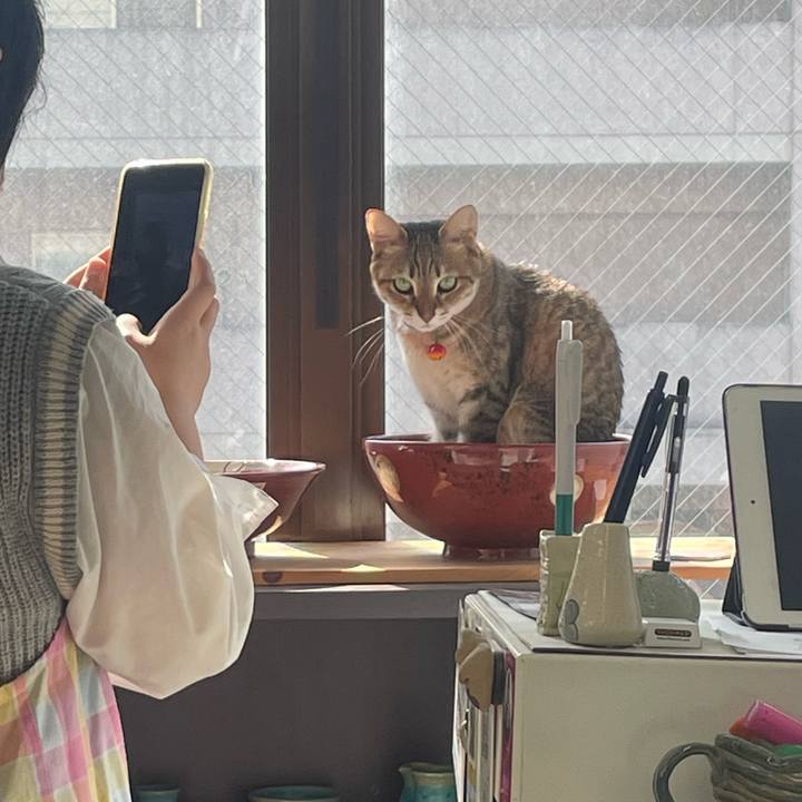 9d74500f 03c2 4703 a142 5062e58514f8 1742108345677