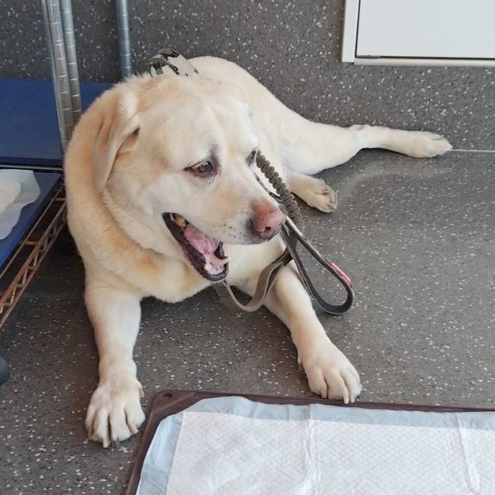 9d748034 dfa2 475d 8b6f 121fda2fa7c7 1739162243322