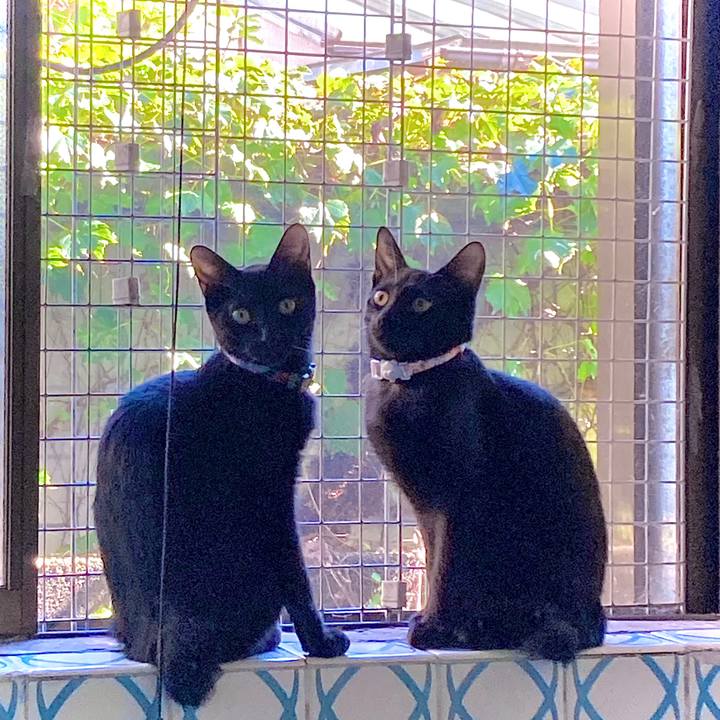 9d74a690 249b 4d99 9b40 9340a2055148 1632198351480