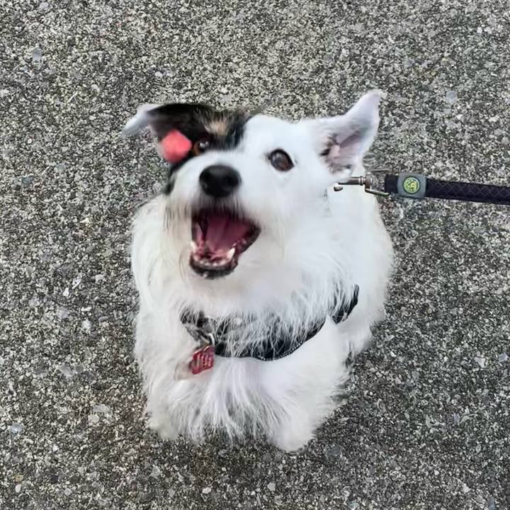 9d74b65d 6243 4e8f bcdd 7a3f99fb37a9 1699142486074