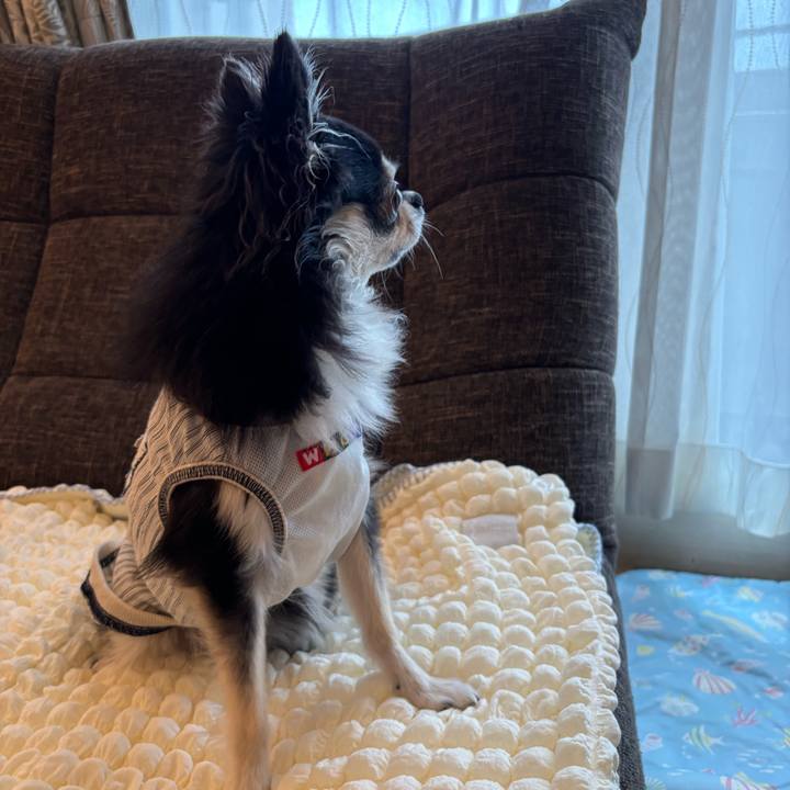 9d74fc08 e11a 4340 818e 7b071b07d257 1723824151899