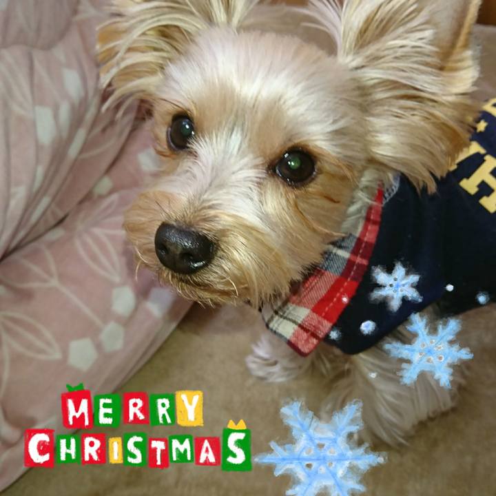 9d7508f5 8f8d 49f0 94d1 1ba4bd28c0e7 1514066490758