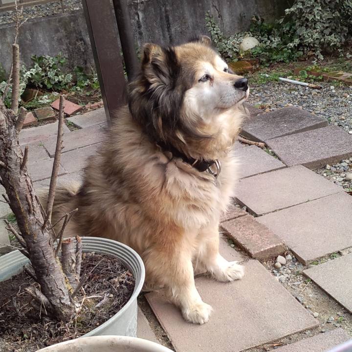 9d750cf1 12ab 47fb 8ecf 5b6437f2c1d6 1584329535234